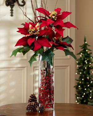 La fleur de Noël ou étoile rouge : Le Poinsettia: